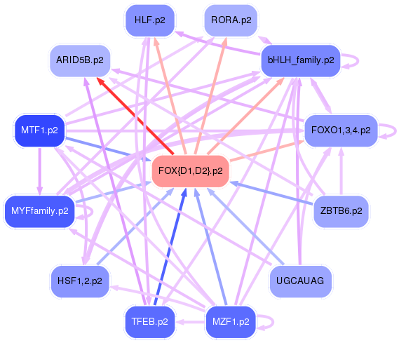 PNG image of the network